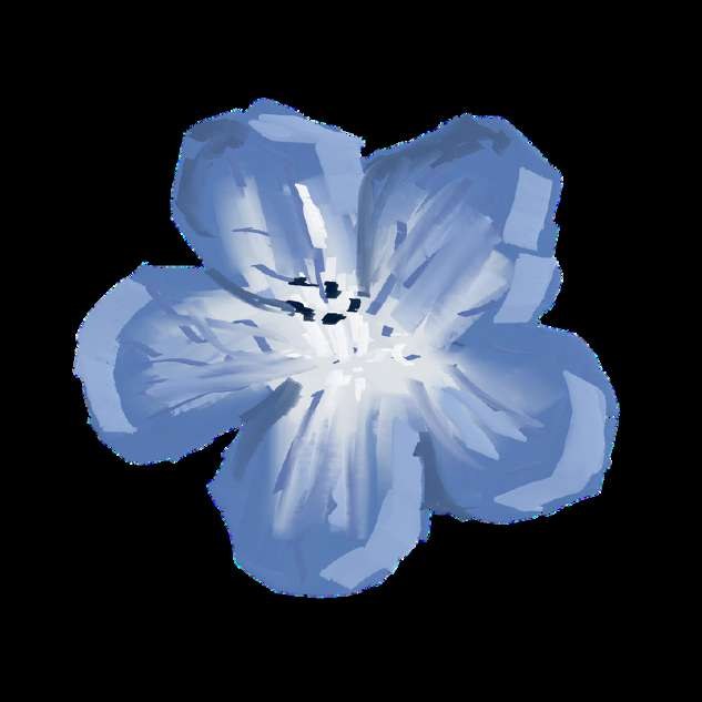 Bloom